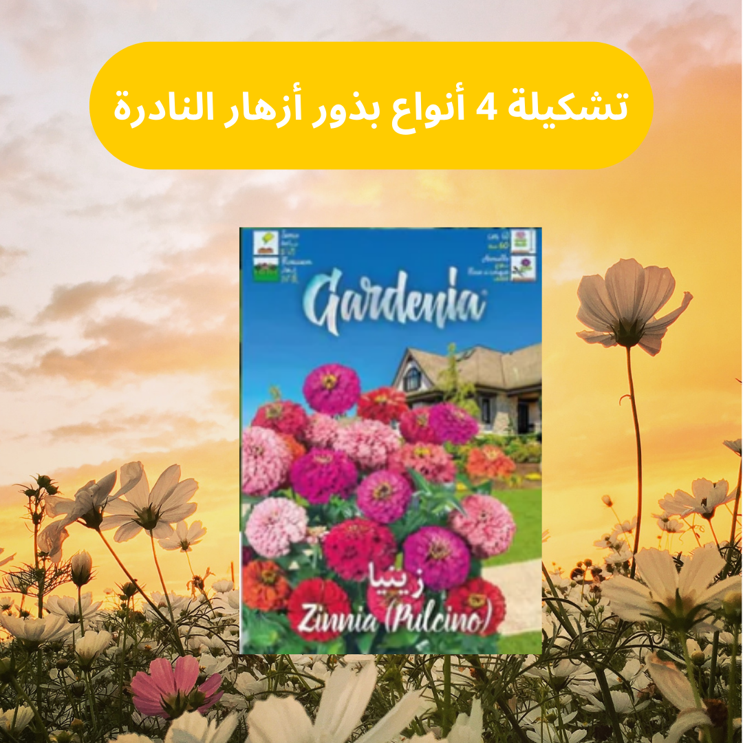 تشكيلة 4 أنواع بذور أزهار النادرة