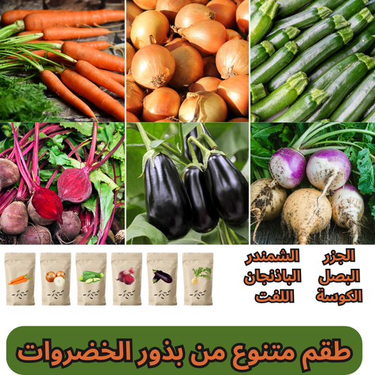 طقم متنوع من بذور الخضروات